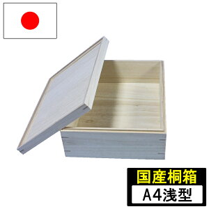 yGg[P10{10/1Yz˔ ˎ[  [ W A4TCY ^ 26×36 ؐ ː [P[X ؔ ߗ  蕨 Mtg Y { iKmY