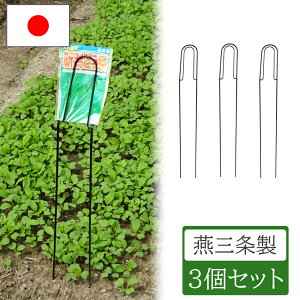 yGg[P5{zV[hpPbgz_[ 3 |pi    Ax ƒ؉ ؉  | _ _ _ K[fjO O[K[f ы NO.601 y ֗ 