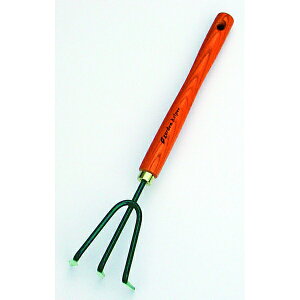 yGg[P5{z΍ F K[fjO ƒ؉ | 낢   v^[  ObY  ʕ   G h Ő W XRbv [L  Vx Vx