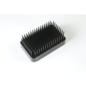 ΍ #B205 p  XeXjR R A~ C[ ؓ ԓ  t[AWg t[A[g A[g  { {ih i V a j v R A