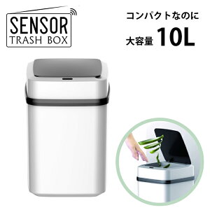 y݌Ɍ̑IzRS-E851 ZT[S~ 10L zCg J _Xg{bNX ӂt É X ^ Lb` rO Q ItBX ݔ L΍ qI ȃXy[X C