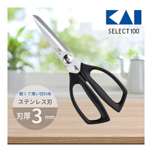 Lb`΂ Lb`oT~ L ZNg100 XeX   pi p͂ nT~ pnT~ ݂̂  Lb`c[ XeXn