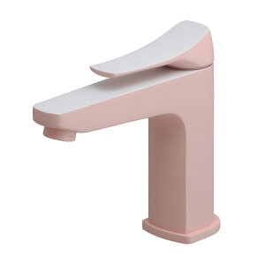 yGg[P5{zJN_C 183-304-P VOo[ FP JN_C KAKUDAI  Vo[o[ J[gbW  i ؑ֕  pi ֘A