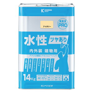 JynsI c茚pPRO AC{[ 14K JynsI nsIZNg h yL h h pr ؕ S  O p  DIY hJr vX`bN RN[