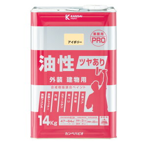 yGg[P5{zJynsI c茚pPRO AC{[ 14K JynsI nsIZNg h yL h h pr ؕ S  O p  DIY hJr v