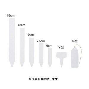 yGg[P10{10/1Yzva FGx 7.5cm 100 ~ | K[fjO   ~͗pi ~͓ |pi K[fjOpi pi Aւ ~ | K[fjO 