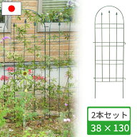 【◆P10倍】トレリス 2個セット オベリスク アイアン 38×78cm 日本製 小林金物 No.180 誘引 つるバラ つ…