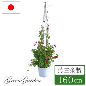 yGg[P5{zgsA[X^h gsA[^[ Ax 160cm { No.148 ы U o   KN o ΂ N}`X K[fjO ؉ gݗ x 