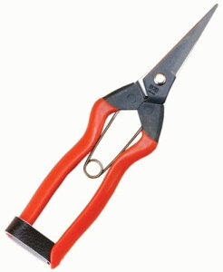 yGg[P5{zOBORO oX^IƐ錾 sN C Cpi oX^C ^I oX^I nh^I oX`FA ֎q  艱   Ό e  ˂_ 