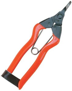 yGg[P5{zOBORO oX^IƐ錾 GhO[ C Cpi oX^C ^I oX^I nh^I oX`FA ֎q  艱   Ό e  