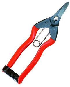 yGg[P5{zOBORO oX^IƐ錾 EbhuE C Cpi oX^C ^I oX^I nh^I oX`FA ֎q  艱   Ό e  ˂