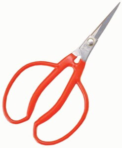 yGg[P5{zOBORO oX^IƐ錾 p[O[ C Cpi oX^C ^I oX^I nh^I oX`FA ֎q  艱   Ό e  ˂