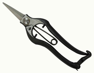 yGg[P5{zzH B-4 ŕVmMt~200 nT~  ؂ ʕ  K[fjO d |  ʎ  ؂ꖡ nT~  ؂ ʕ  K[fjO 