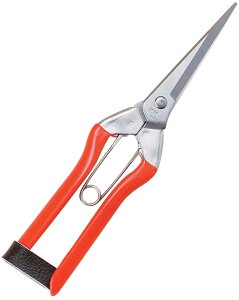 �z�H S-2 �X�e�����X�n���E�����X�e���o�l200 BP �n�T�~ �� ��؂��� �ʕ� ��� �K�[�f�j���O ��d�� ���| ���� �ʎ� ��� �؂ꖡ �n�T�~ �� ��؂��� �ʕ� ��� �K�[�f�j���O ��d�� ���| ���� 