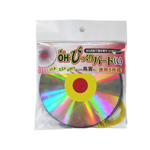 yGg[P10{z悯 OHEтo[h L p5g 12cm Rp Q bQ Q ~  Њd LQb Qb h h hb d| ǂ   c c ƒ؉ x
