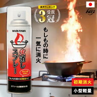【楽天ランキング1位！備えて安心】消火スプレー 火消しスプレー 日本製 消火具 消火器 スプレー 住宅用 …