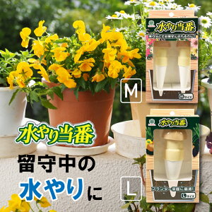 yGg[P10{zyyVLO1ʊlz蓖  A | TCtH э׊ǌ     v^[ ϗtA  s ֗ GR M L SDGs 