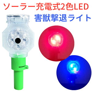 y2F̃Cg_z Qb΍􃉃Cg bQ΍ Qb쏜 Qb΍ Qbh ރCg QboP[h \[[p[ \[[[d LED LEDCg tbV RpNg Cm