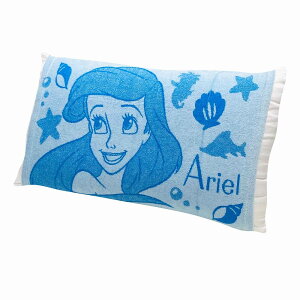 yGg[P5{zV^ fBYj[ Jo[ (AG eqŎgs[P[X) ^In ̂т̂ Lk^Cv u[ 43x63 35x50cmp ObY ʂ Jo[  _炩