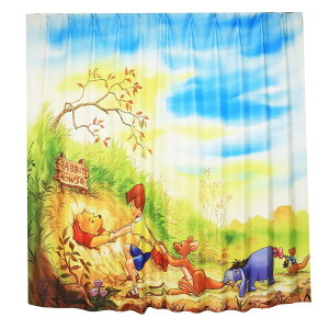 yGg[P10{zV^ fBYj[ J[e Ռ 2g 100x135cm (܂̃v[ GHh[vJ[e) ObY l   唻 A[g O猩ɂ  