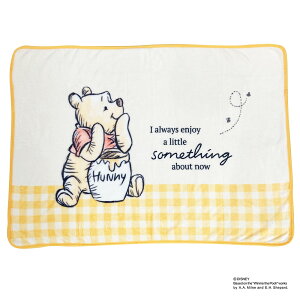 yGg[P10{zV^ fBYj[ G| uPbg (܂̃v[ I _炩tl)   ObY ѕz  ~ [΍ 72x100cm IW Disney LN^[ 