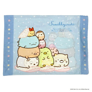 yGg[P5{zV^ TGbNX q Jo[ (݂R炵  WjAJo[) ʂ ObY NbV 40x30x10cm u[ 100 􂦂    