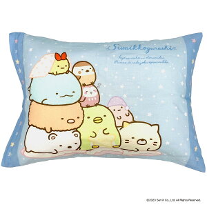 yGg[P5{zV^ TGbNX q  (݂R炵  WjA) ʂ ObY NbV 40x30x10cm u[ 100 􂦂 Jo[t    