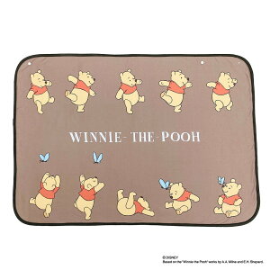 yGg[P10{zV^ fBYj[ G| uPbg (܂̃v[ _炩V[v{A)   ObY ѕz  ~ [΍ 70x100cm uE Disney LN^[ ܂