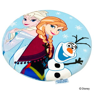 V^ fBYj[ zc (AiƐ̏ Ђ⊴ ᔽV[gNbV) ʂ ObY KɂȂȂ   40x40x4cm u[ ėp ֎q NbV ی^ ~ _