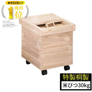 yGg[P10{zyVLO1 Ăт  30kg ꍇ}Xt LX^[t { Y  Lb` [  CXXgbJ[ CX{bNX h ğC ărc VR