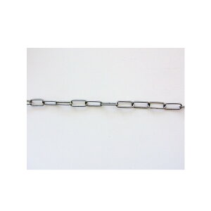 【エントリーでP10倍◆】ニッサチェイン SL16 ステンレスリンクC30m ガーデニング 園芸 庭仕事 外仕事 作業 ワイヤーロープ 吊下げ金具 ハンキング チェーン ワイヤー フック プランター セキ