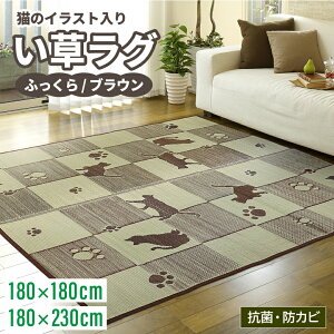 哇 ӂ烉O 180x180cm BR   | O NbV zc }bg[ {bNX Xc[ Xebv ݑ `FA VR R L  y a a m  ~K   