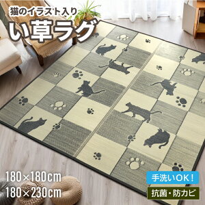 哇 O L[uLbg 180x180cm   | O NbV zc }bg[ {bNX Xc[ Xebv ݑ `FA VR R L  y a a m  ~K 