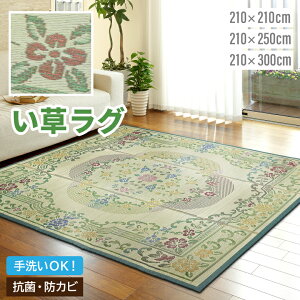 哇 O OCX GR 210x210cm   | O NbV zc }bg[ {bNX Xc[ Xebv ݑ `FA VR R L  y a a m  ~K   