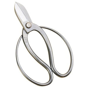 yGg[P5{z⌹ #283 ×XeX165 BP  t[AWg  ԗp ԓ ؓ  nT~ ͂  ~ | Ntg  DIY y RpNg J[