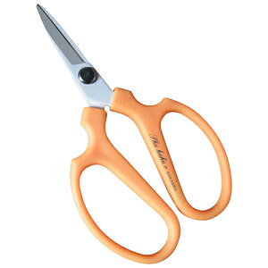 yGg[P5{z⌹ #1381 n BP ؎n ʕn  ʕ n ʎ ƒ؉ ԓE  _ _ _  t[AWg  ԗp ԓ ؓ  nT~ ͂