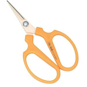 yGg[P5{z⌹ #1385 nX BP ؎n ʕn  ʕ n ʎ ƒ؉ ԓE  _ _ _  t[AWg  ԗp ԓ ؓ  nT