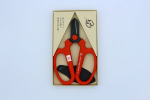 yGg[P5{z⌹ #9142 HNG[VF170n bh   t[AWg  ԗp ԓ ؓ  nT~ ͂  ~ | Ntg  DIY y R