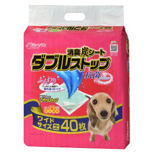 V[YCVn LYV[g _uXgbv Ch 40 ybgpi  L  ybg q  V[c Ic L G`Pbg z | gC XLPA L U ܂Ƃߔ 