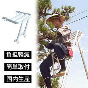 yGg[P5{zyVLOl yOrƂ̕SyɁzA~Orp⏕CX Xebva25~42mmp |Orp { A~  ܂肽  Y ~c