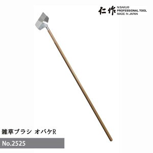 yGg[P5{zxcn m NO.2525 GuVIoPR G G     dyʂɐG Ƃ yƍ ȒP OEh ejXR[