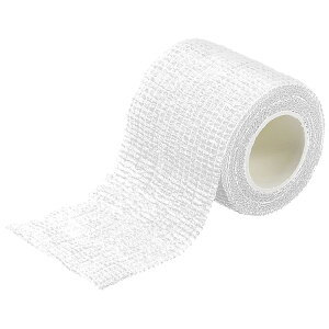 L LkJ[e[v@zCg H  DIY dp AEghA c[ h h ƒp ޕ pr i p[c hЗpi H S ~}pi dq@ nhc[ 蓮H 