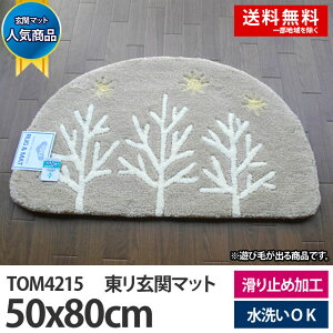 東リ玄関マットTOM480650x80cm