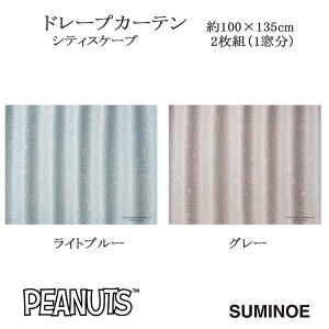 s[ibc J[e h[v VeB[XP[v 100×135cm 2g(1) Cgu[/O[ X~mG PEANUTS Snoopy {