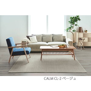X~mG O}bg J[ CALM 261×352cm AC{[/x[W/u[O[/O[x[W/lCr[/_[NO[/[ hH h { SUMINOE HOME RUG MAT