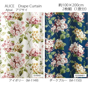 AX J[e h[v AWTC 100×200cm 2g(1) AC{[/_[Nu[ X~mG ALICE Disney fBYj[z[V[Y EHbVu {