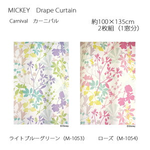 ~bL[ J[e h[v J[jo 100×135cm 2g(1) Cgu[O[/[Y X~mG MICKEY Disney fBYj[z[V[Y EHbVu {