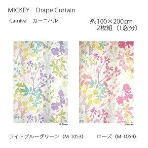 ~bL[ J[e h[v J[jo 100×200cm 2g(1) Cgu[O[/[Y X~mG MICKEY Disney fBYj[z[V[Y EHbVu {