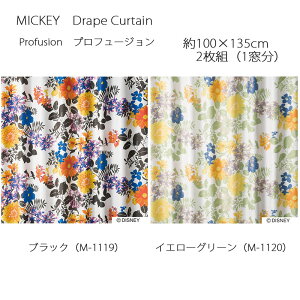 ~bL[ J[e h[v vt[W 100×135cm 2g(1) ubN/CG[O[ X~mG MICKEY Disney fBYj[z[V[Y EHbVu {