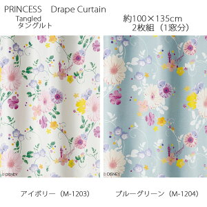 vZX J[e h[v ^Oh 100×135cm 2g(1) AC{[/u[O[ X~mG PRINCESS Disney fBYj[z[V[Y EHbVu {